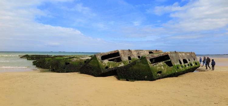 theo-contre-squale-roman-normandie